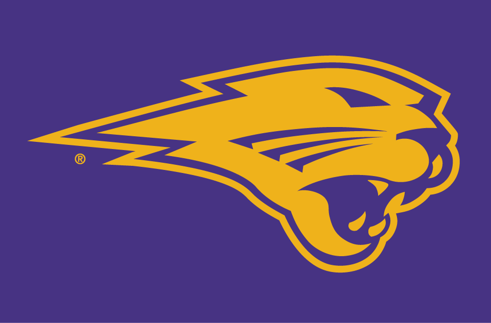 Northern Iowa Panthers 2002-Pres Partial Logo v3 iron on transfers for T-shirts